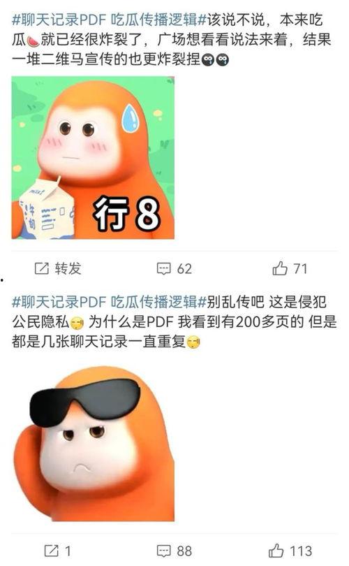 PDF吃瓜,揭秘网络热传的神秘文件内容