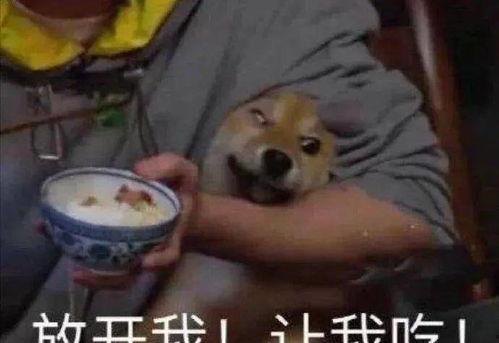 带你吃瓜带娃,解锁亲子生活新姿势