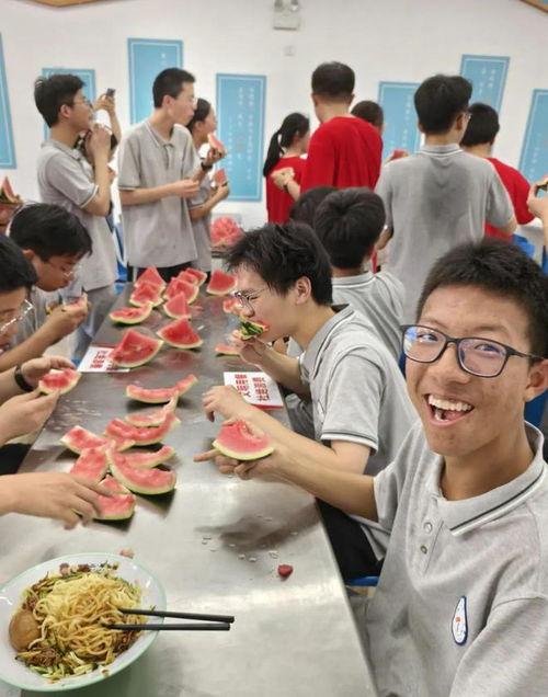 吃瓜班集体,揭秘校园里的“瓜田”趣事