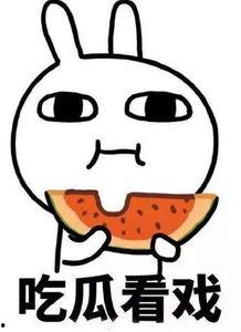 瓜哥带你吃瓜播放,揭秘娱乐圈幕后故事