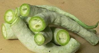 蛇瓜适合儿童吃吗,儿童餐桌上的营养佳品