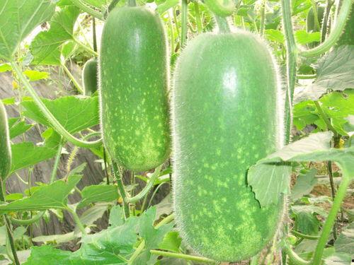 小潼吃瓜,揭秘娱乐圈那些不为人知的幕后故事