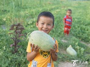 吃瓜群众岱岱 宝宝