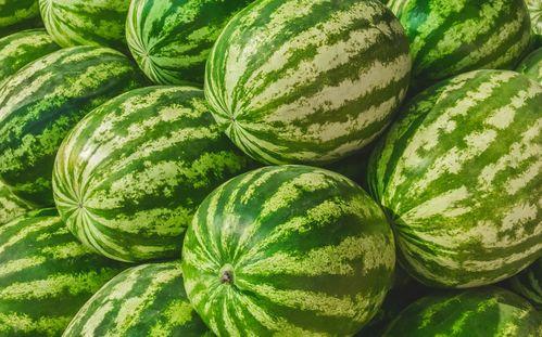 吃瓜qq吃瓜神器在哪,吃瓜QQ吃瓜神器，一键生成瓜圈秘籍！