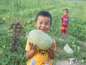 吃瓜群众岱岱 宝宝,揭秘宝宝成长那些事儿